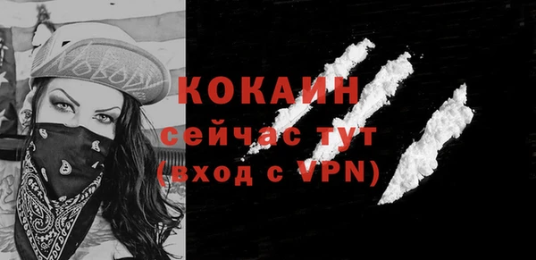 твердый Вяземский