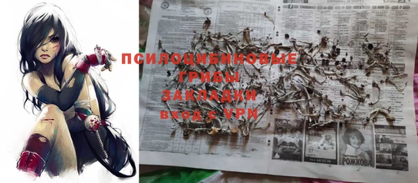 индика Тайга