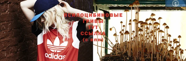 твердый Вяземский